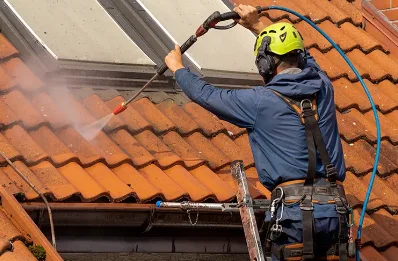 Démoussage et hydrofuge de toiture à Peyrabout